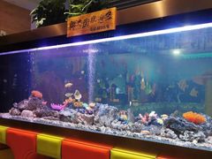 -御池园(顾村公园店)