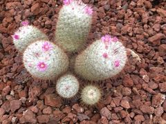 -南通洲际绿博园