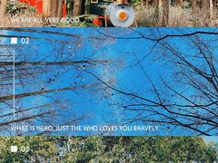 -上海共青森林公园