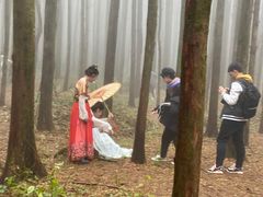 -山王坪喀斯特国家生态公园