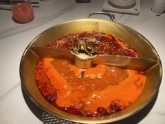 -小龙翻大江文化火锅(宽窄店)