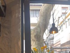 -Apollo·西班牙小酒馆(安福路店)
