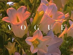 -循礼门鲜花花市(武汉循礼门店)