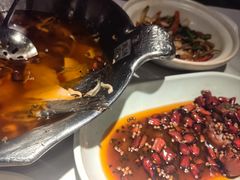 -沸腾鱼乡(知春路分店)
