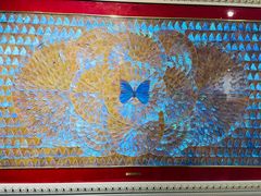 -上海昆虫博物馆