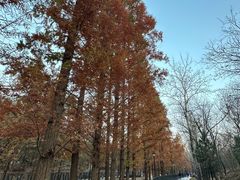 -白水寺森林公园