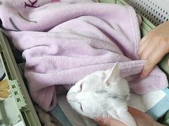 -美联众合动物医院·24h京西诊疗中心