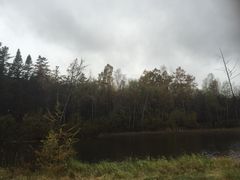 -五营红松林海景区