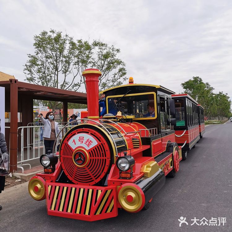 2021年第十届花博会在上海开幕啦❗❗