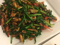 -金龙寨(解西店)