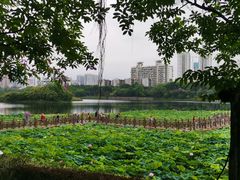 -南宁南湖公园