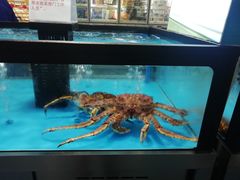 -麦德龙(郑东店)