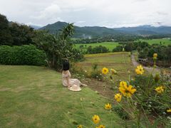 -黄色小屋