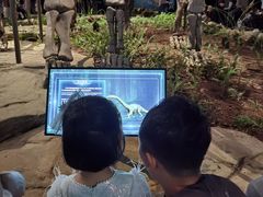 -自贡恐龙博物馆