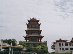 -奉贤海滩