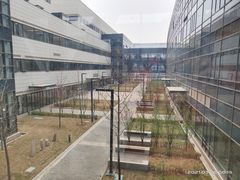 -首都医科大学附属北京天坛医院