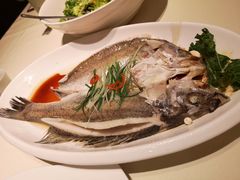 清蒸鲈鱼-觅唐MITONG(鸟巢店)