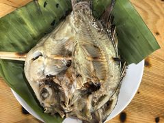 -杨合林啊兰烤鱼