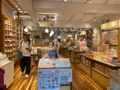 -猫的天空之城概念书店(束河店)