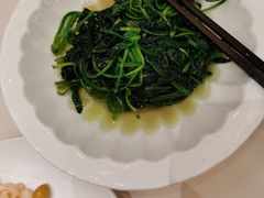 清炒菠菜-得月楼·省级非遗·传统苏帮菜(观前店)