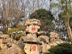 -朴园