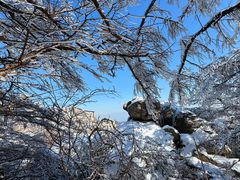 -崂山巨峰游览区