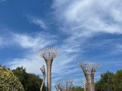 -武清南湖绿博园