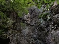 -云岫谷游猎自然风景区