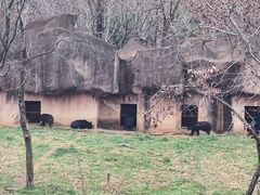 -合肥野生动物园
