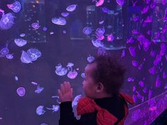 -顺德南宏海立方海洋公园