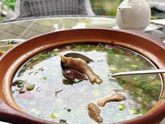 -香雪海饭店中餐厅(人民桥店)