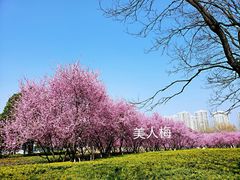 -白塘生态植物园