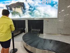 -张家界荷花国际机场