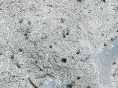 -北海金海湾红树林生态旅游区