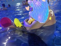 -巨鹏飞梦幻水世界