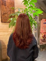 -镁连社·美联社