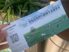 -北海金海湾红树林生态旅游区