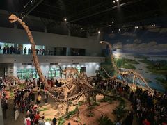 -自贡恐龙博物馆