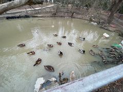 -宁波杭州湾国家湿地公园