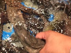 -海景壹号大酒店(惠钱路店)