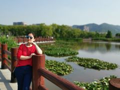 -长兴太湖图影湿地文化园