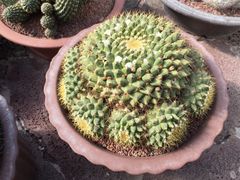 -南通洲际绿博园