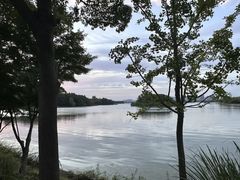 -长广溪湿地公园