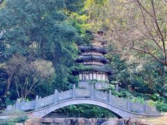 -深圳国际园林花卉博览园