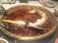涿派香辣中华鲟鲟鱼-涿派·炝锅鱼(涿州店)
