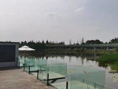 -白鹭湾湿地公园