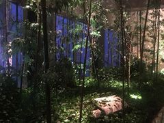 -广州富力君悦大酒店空中花园