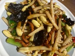 肉丝花生芽-鸽子窝(青塔店)