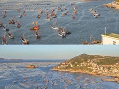 -枸杞岛