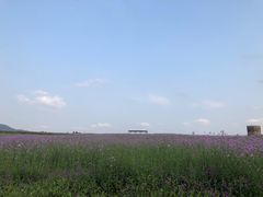 -光明小镇欢乐田园